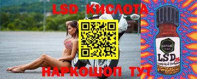 прущие грибы Лесосибирск