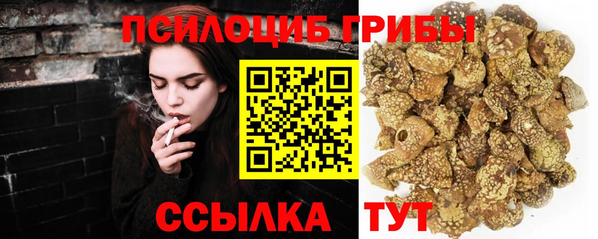 Галлюциногенные грибы прущие грибы Жуковский