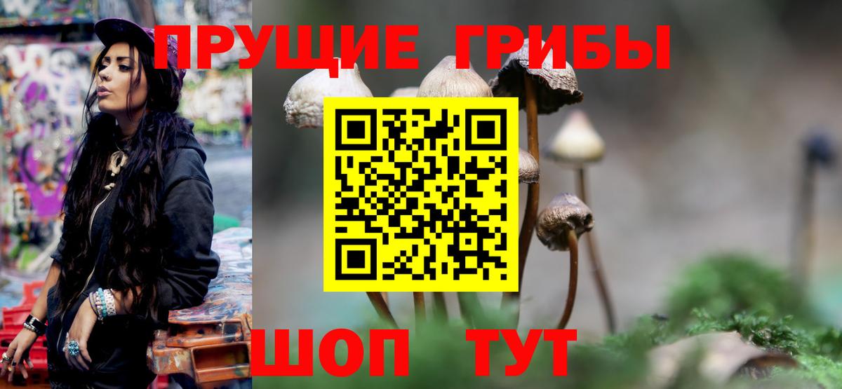 Псилоцибиновые грибы Magic Shrooms  Вход с VPN  Псилоцибиновые грибы GOLDEN TEACHER  сколько стоит  Жуковский 